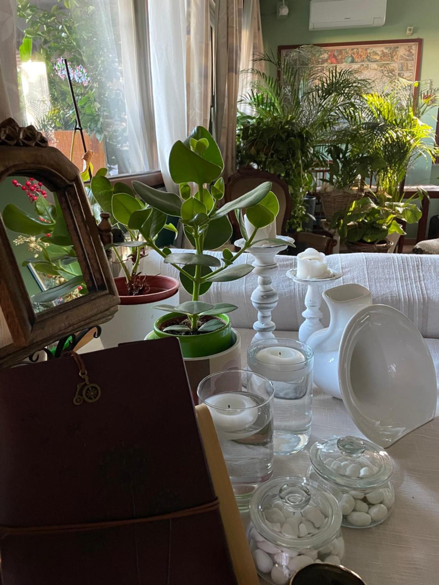 Il Giardino Di Emilia - Intero Appartamento In Villa Con Giardino Privato E Piscina Estiva Pontirolo Nuovo Екстер'єр фото