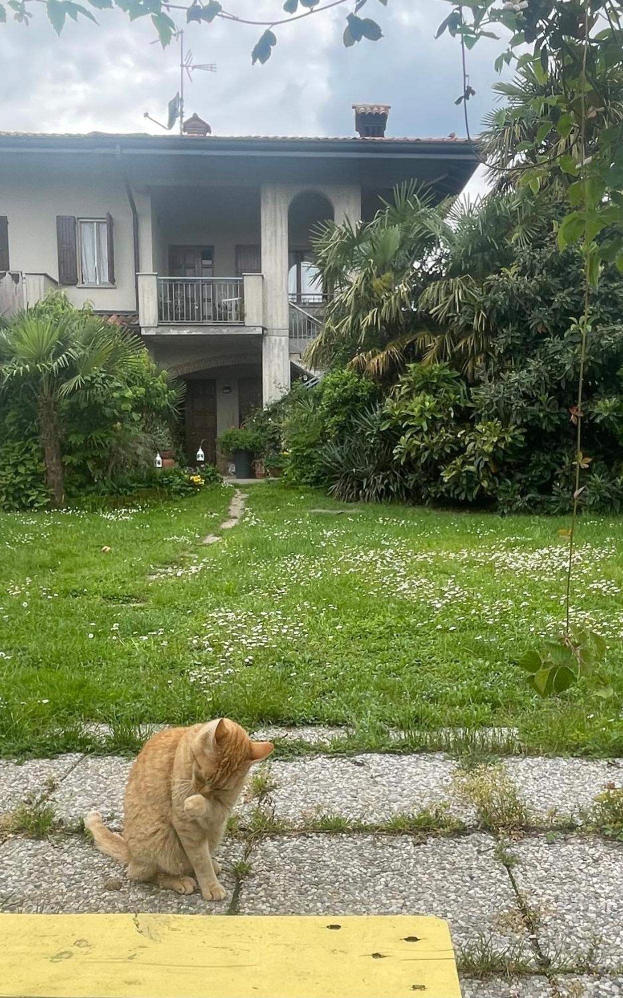 Il Giardino Di Emilia - Intero Appartamento In Villa Con Giardino Privato E Piscina Estiva Pontirolo Nuovo Екстер'єр фото